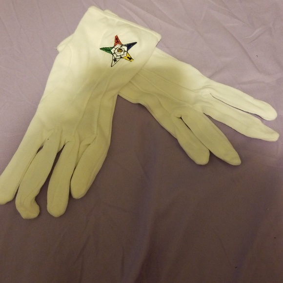 FATAL OES GLOVES EASTERN STAR - Picture 1 of 2